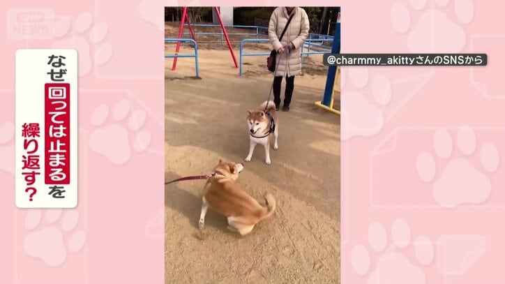 なぜ回ってはピタッと止まるを繰り返す？