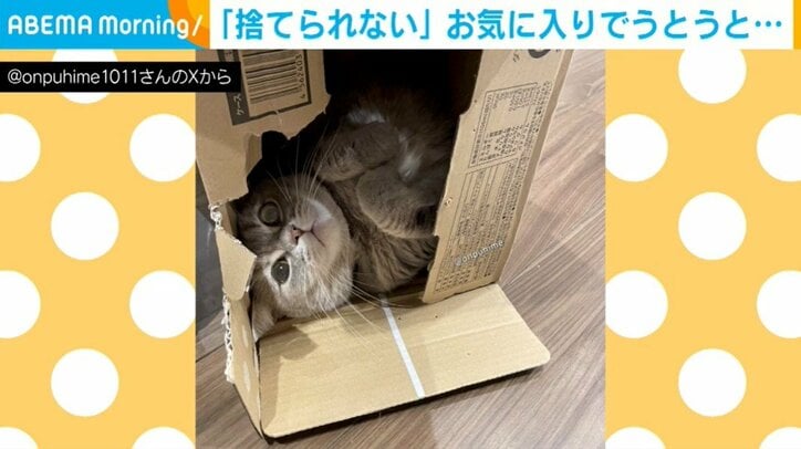 猫のおんぷちゃん