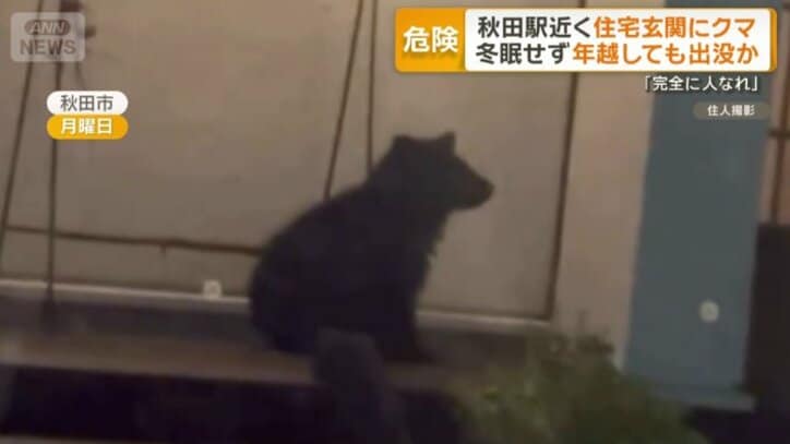 住宅の玄関先に現れたクマ