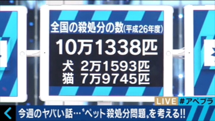 杉本彩、命の尊さを問う ペット殺処分問題に「抜本的な改革が必要」