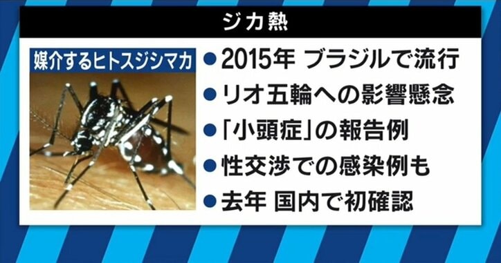 ヒアリだけではない!クモ・蚊にも注意 温暖化で高まる“外来昆虫”のリスク