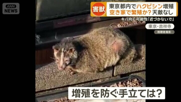 増殖を防ぐ手立ては？