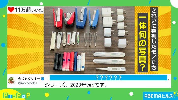 大量の爪切りやリップクリーム… 整列したモノたちの“共通点”に共感の声「修正テープも追加で」「マヨネーズが4つになってたことある」