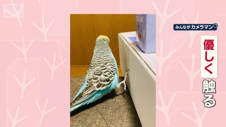 優しく触るが…