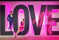 AHN MIKA『12回目の結婚式記念日』