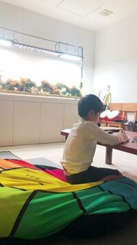 市川海老蔵『私は』