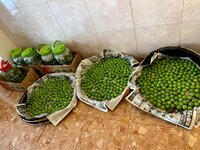 北斗晶『燃える』