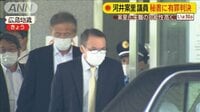 河井案里議員の秘書に有罪判決 当選無効の可能性も
