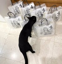 藤あや子『ありがとうございます』