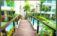 アレクサンダー『引っ越しの巻』