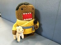 鈴木亮平『スタスタスタ(西郷どんこぼれ話31)』