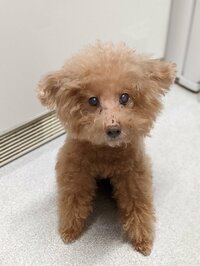 真山景子『お久しぶりです。人生で初めての‥』