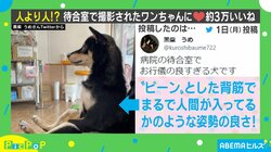 人間より行儀良い!? 犬が病院の待合室で待機する姿に「可愛すぎる」「2度見した」の声