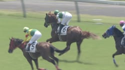 「最強伝説やん」“伝説の名馬”初年度産駒が日本で初V！ “芝”での勝利に「これはヤバい種牡馬」驚きの声