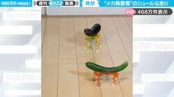 「ハイテクお盆」カタカタ走る“メカ精霊馬”のシュールな映像に「電車の中で見ちゃいけないやつw」「キュウリがかわいいw」と反響