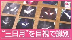 胸の“三日月”を目視で判別？クマの「個体識別」と「生息数の推定」の舞台裏