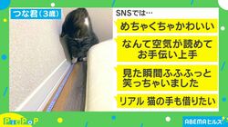 サイズを測ろうとしたら猫がお手伝い！？かわいすぎると話題に