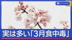 実は多い「3月食中毒」花見シーズン到来で気をつけたいポイント