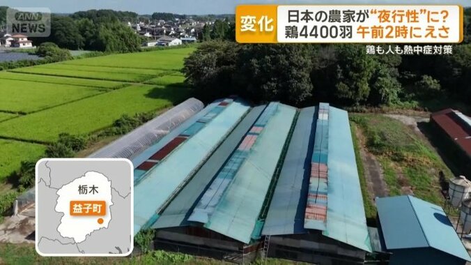 栃木県益子町の養鶏場