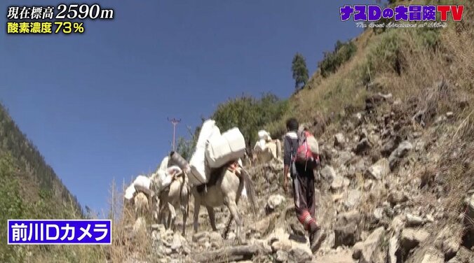 「一生心に残ります」無人島生活を経験したナスD、標高2840メートルで登山家料理人のディナーに感動 2枚目