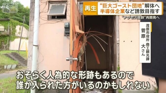 人為的な形跡も