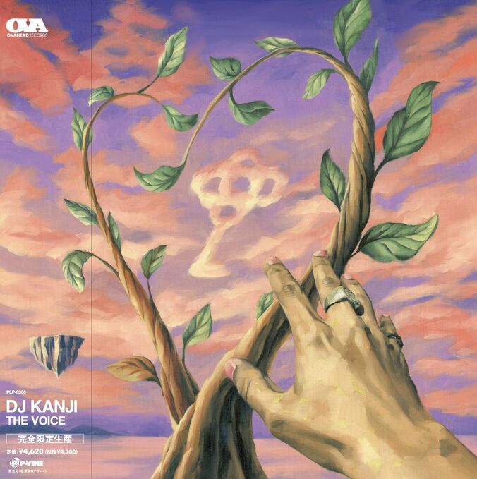 【写真・画像】　2枚目