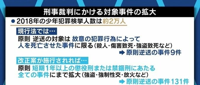 本当に必要なのは罰か、それとも教育か…迫る少年法の厳罰化、被害者家族の割り切れない思い 2枚目