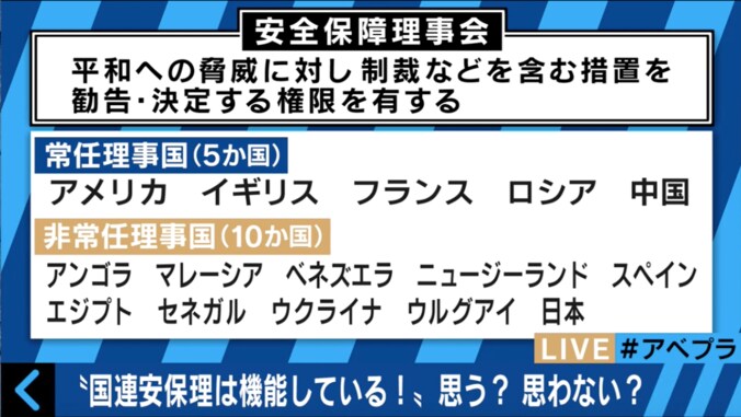 「国連安保理は機能している？」で激論　”幼稚園”を例えに専門家が持論を展開 2枚目
