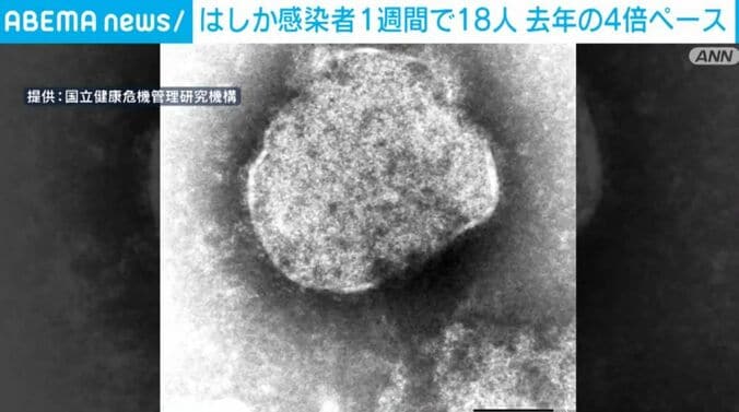 国立健康危機管理研究機構（提供）