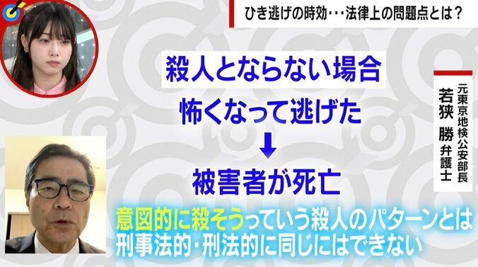 「逃げた時点で殺人ではないか」 未解決ひき逃げ事件の大きな壁となる「時効」 事故は故意にならない？ 2つの死亡事件から考える法律上の問題点 5枚目