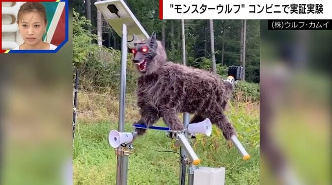 （株）ウルフ・カムイ