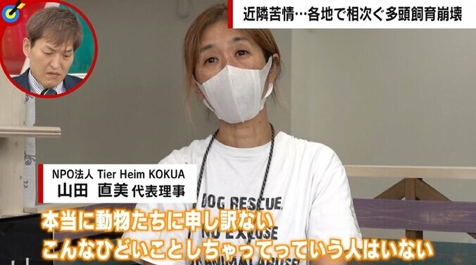 「10分いたらアンモニア臭が染み付く」異臭に大量繁殖…相次ぐ多頭飼育崩壊の現実　件数稼ぎで「信頼度」うたう悪質保護団体も 3枚目