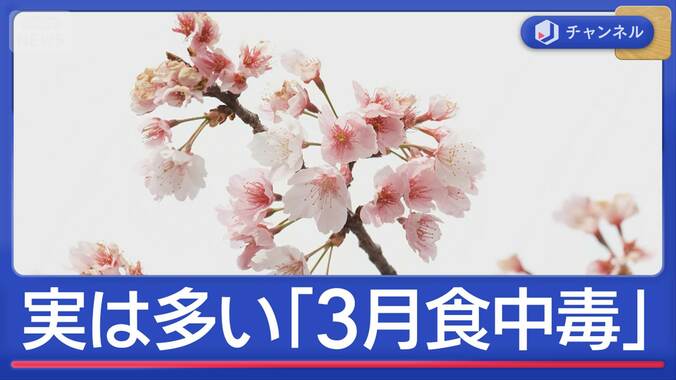 実は多い「3月食中毒」花見シーズン到来で気をつけたいポイント 1枚目