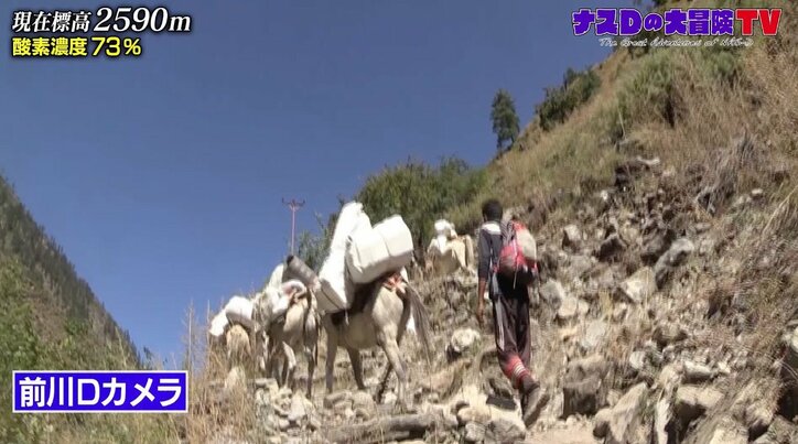 「一生心に残ります」無人島生活を経験したナスD、標高2840メートルで登山家料理人のディナーに感動
