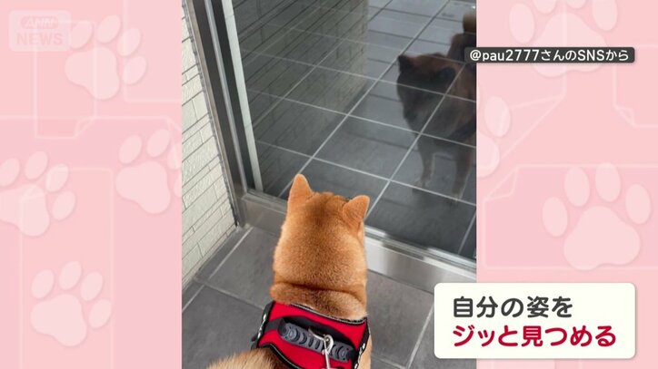 反射した自分を見つめる