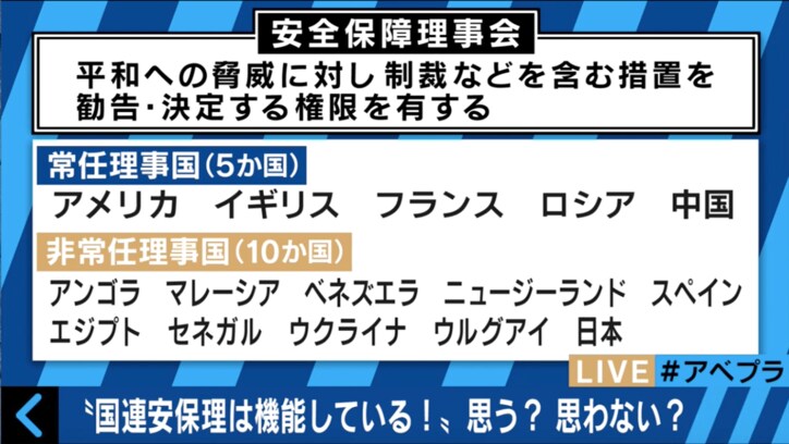 「国連安保理は機能している？」で激論　”幼稚園”を例えに専門家が持論を展開