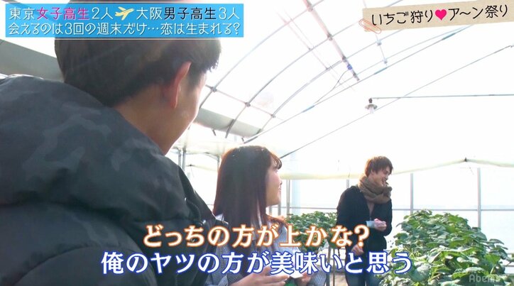 美少女JKを巡る争奪戦、いちご狩りで「あーん」合戦勃発 『恋ステ』大阪編