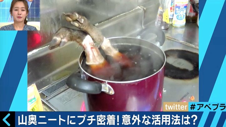 ニートの増加は問題なのか？過疎の村を救う人たちも