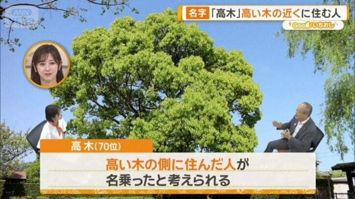 高い木のそばに住んだ人が名乗ったと考えられる