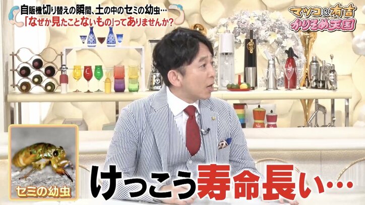 【写真・画像】有吉、アンジャッシュ渡部の“変わらぬ態度”にピシャリ「腹立ってきた」「反省してない」 2枚目