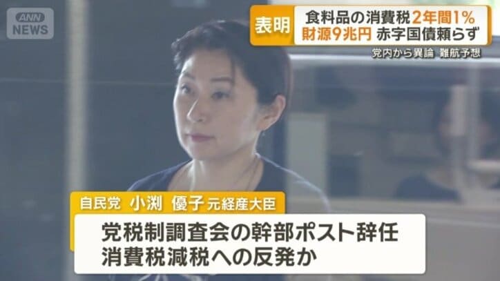  消費税減税への反発が原因か