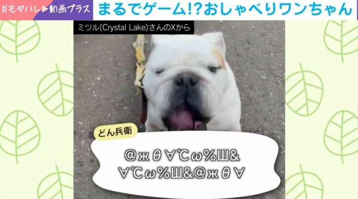 どん兵衛くんが喋る様子