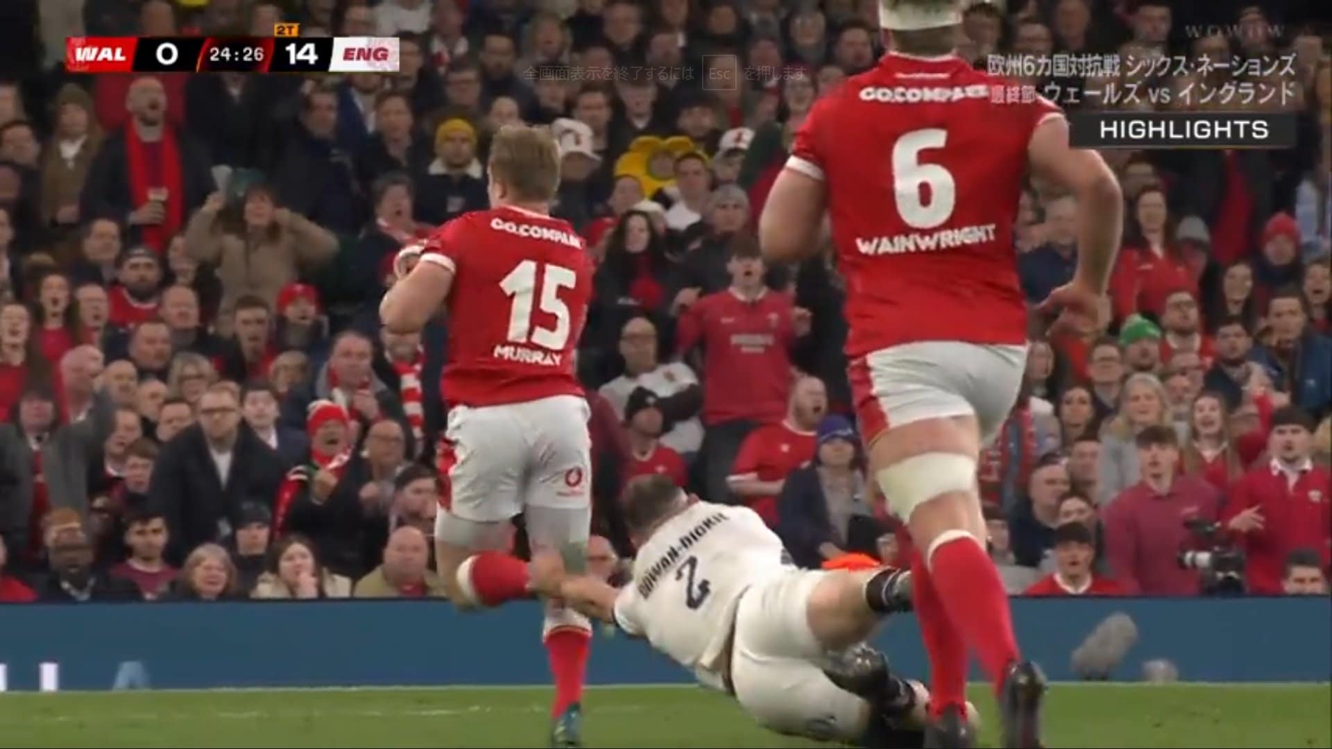 アンクルタップ