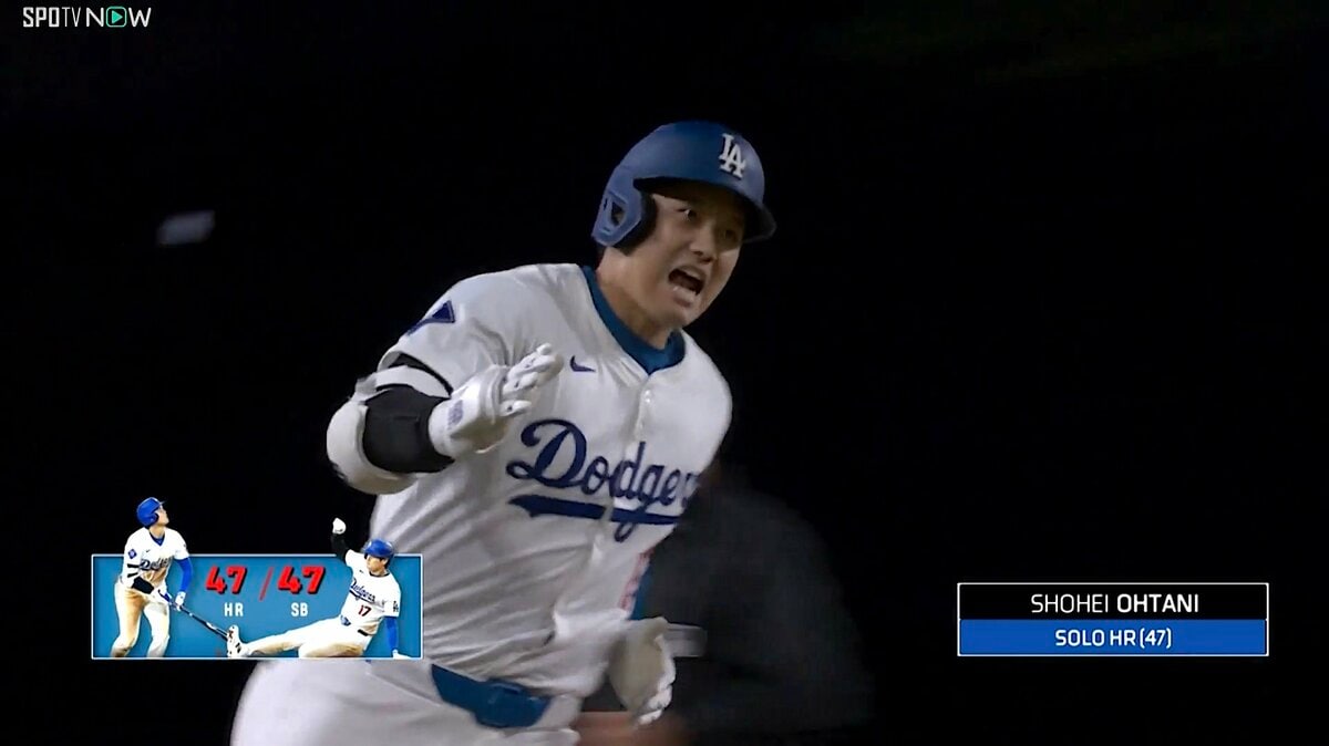 大谷翔平選手の打率低いポイントが図解されてるが、弱点が少な