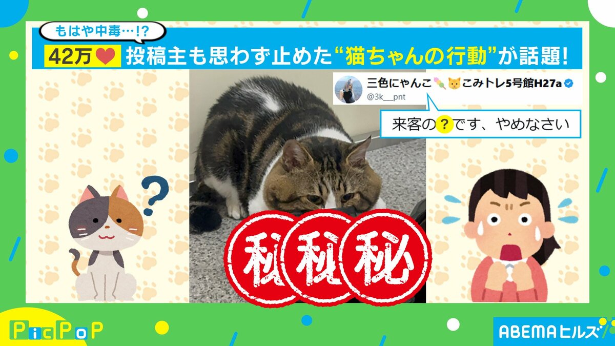 やめなさい」もはや中毒…！？猫が夢中で“靴”を嗅ぎ続ける姿に