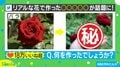 圧倒的センス…! 草花で作った“妖精のドレス”に反響相次ぐ 投稿主「大人になって再挑戦した」