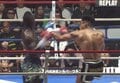 左フックで衝撃KO「柳沢慎吾に似てる？」屈強なブラジル人ファイターがネットで話題「確かにしんごちゃん」