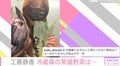 工藤静香「冷蔵庫にないと落ちつかない」ネギを片手に真顔ショット公開