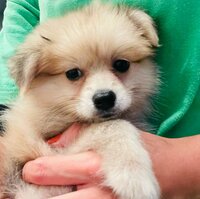 ココリコ遠藤嫁『またまた病院へ、、、』