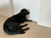 坂上忍『三ヶ月に一度の...』